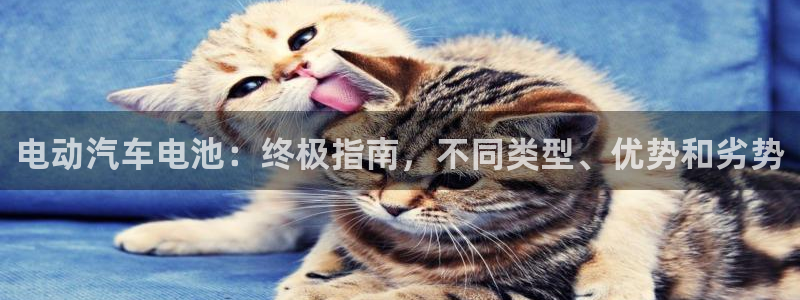 优发国际官网下载手机版