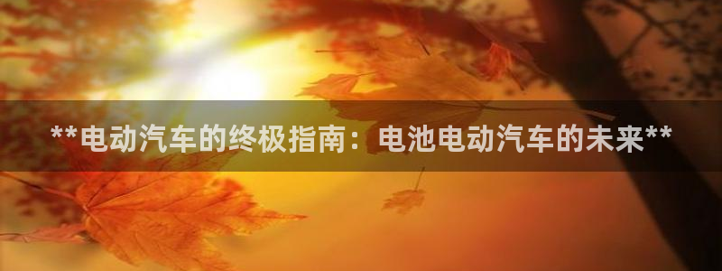 优发国际官方网平台