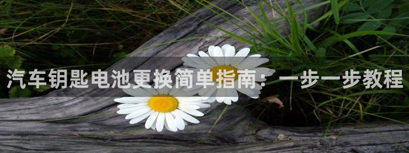 优发国际手机客户端下载安装