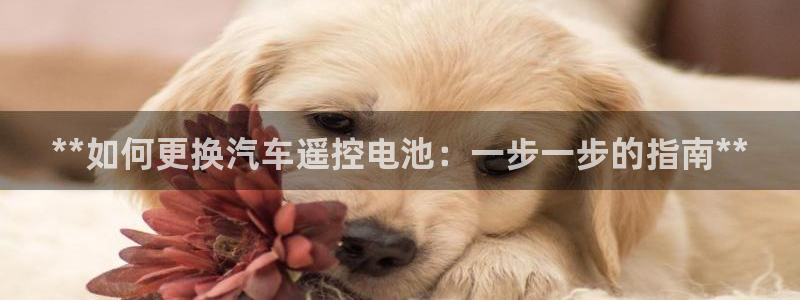 优发国际app官网下载安装手机版