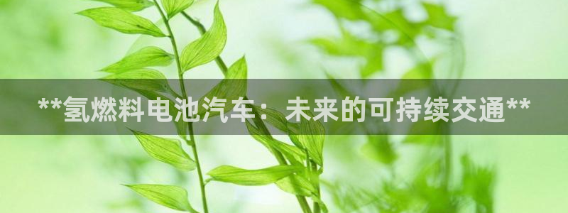 优发国际最新网站下载