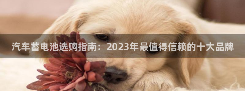 优发国际手机版客户端