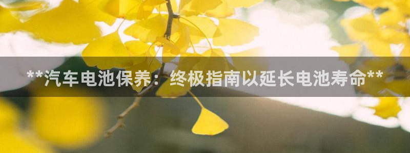优发国际在哪里下载