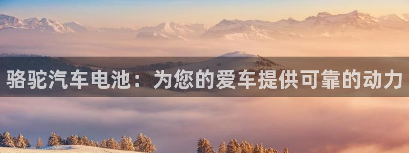 优发国际是大平台吗是真的吗