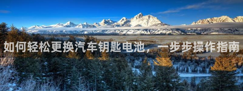 优发国际官网网站