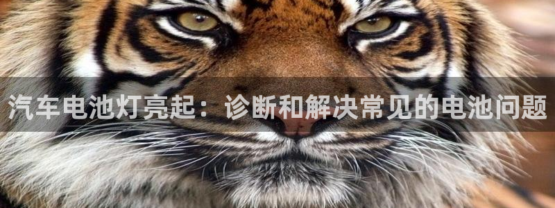 优发国际是不是黑网
