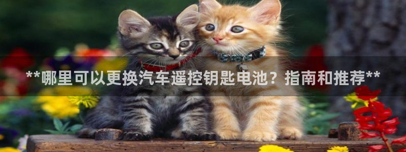 优发国际电话