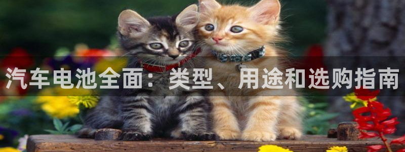 优发国际官网下载安装app