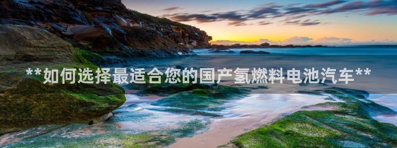 优发国际bob