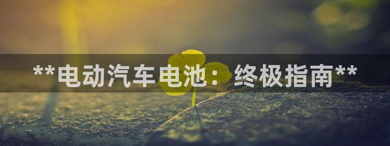 优发国际手机版网站下载