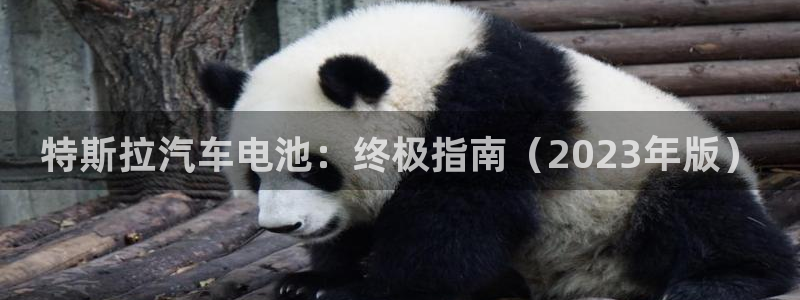 优发国际官网,首页网址