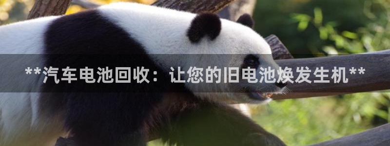 优发国际手机版官网下载