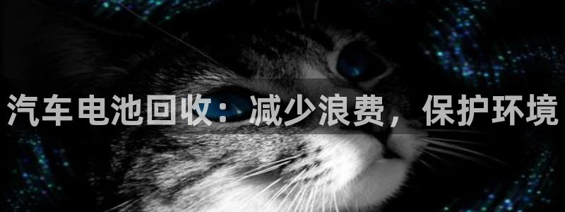 优发国际集团股份有限公司招聘