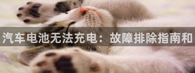 优发国际手机版客户端