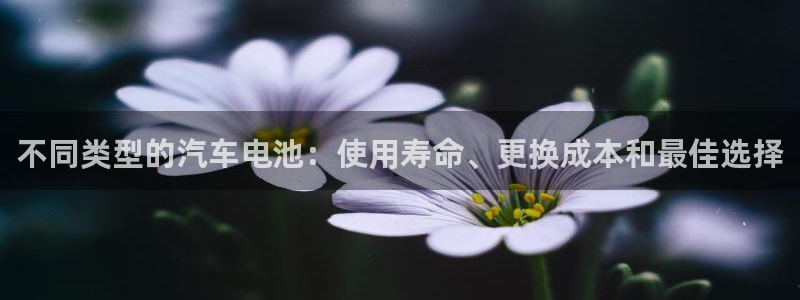 优发国际手机客户端