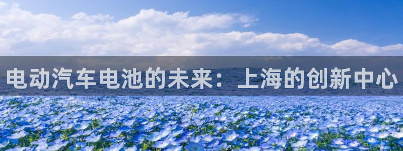 优发国际的网站是