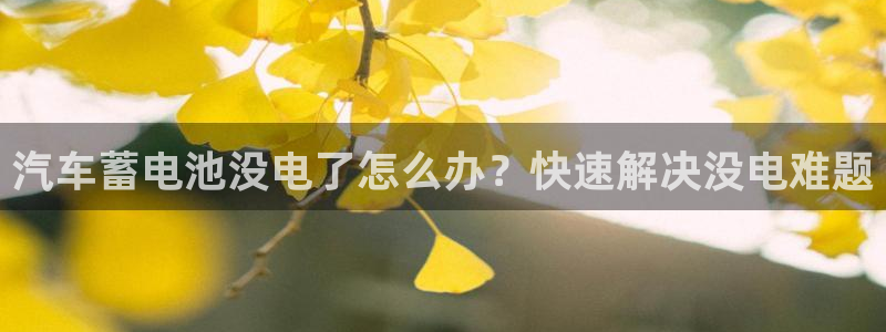 优发国际登录k8
