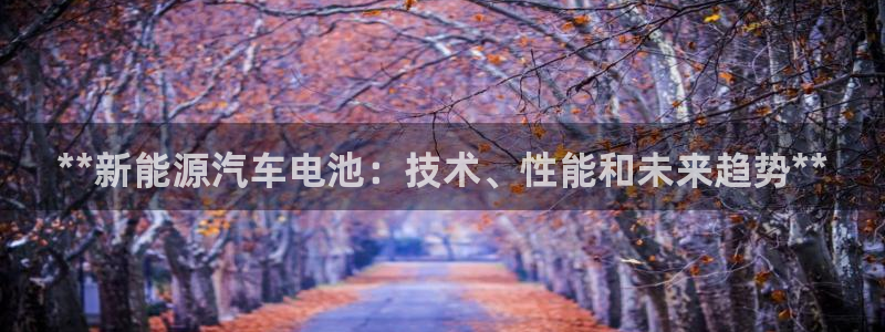 优发国际是大平台吗还是小平