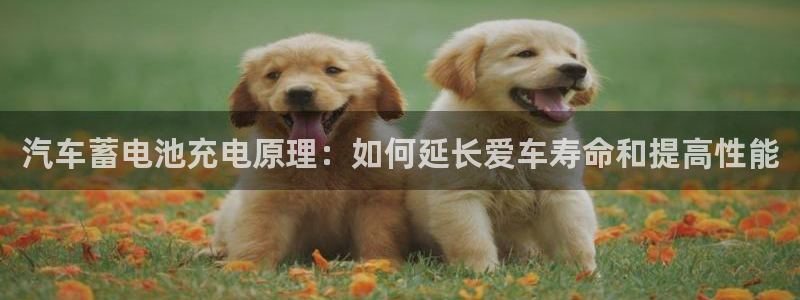 优发国际在哪里下载
