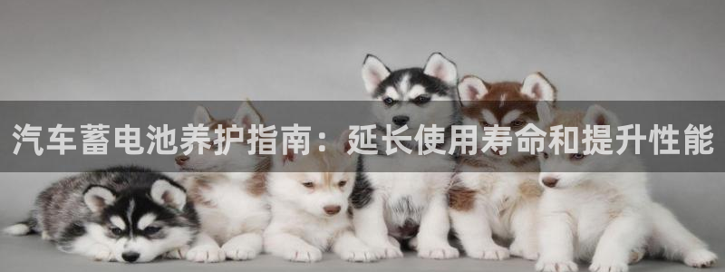 优发国际这个平台怎么样知乎