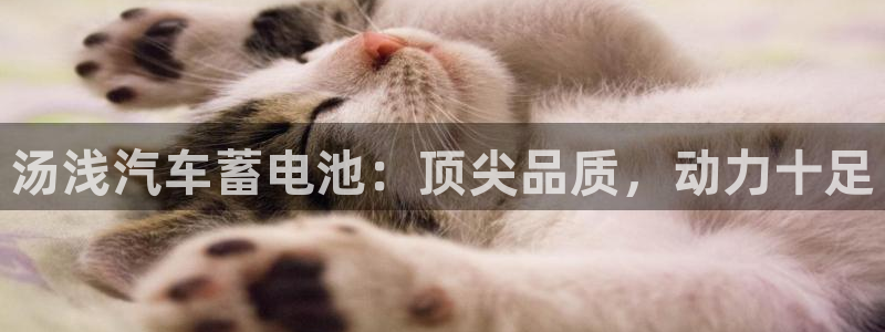 优发国际youfa