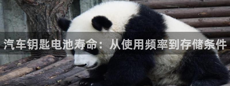 优发国际是不是黑网
