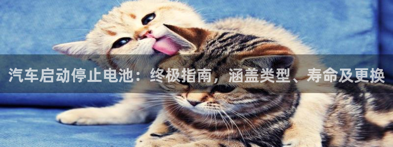 优发国际平台u8是什么