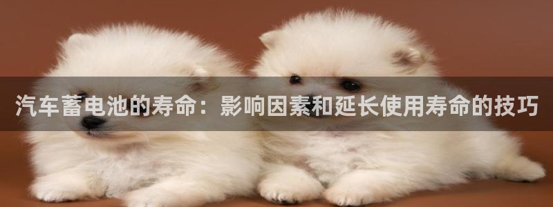 优发国际官方网手机版下载安装