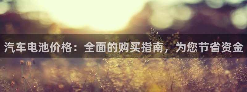 优发国际平台g80