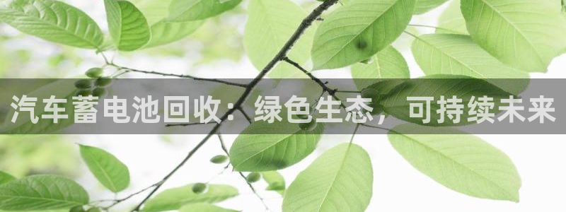优发国际平台u8怎么样可靠吗