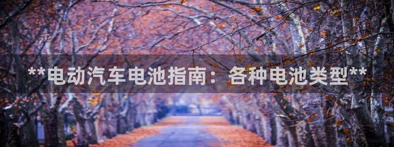 优发国际首页app