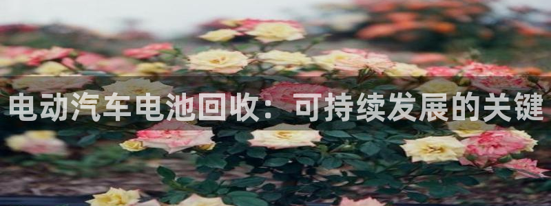 优发国际手机版客户端下载