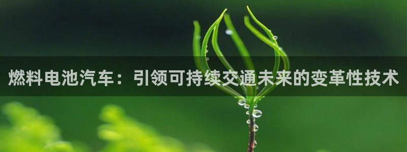 优发国际集团股份有限公司是国企吗