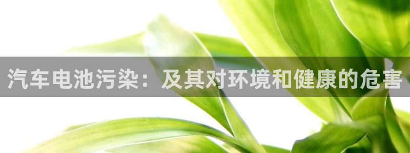 优发国际app官网下载安装