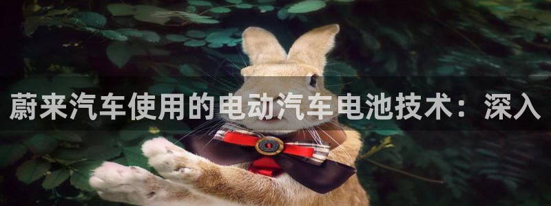 优发国际官方网手机版下载安卓