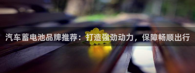 优发国际网官网17q8