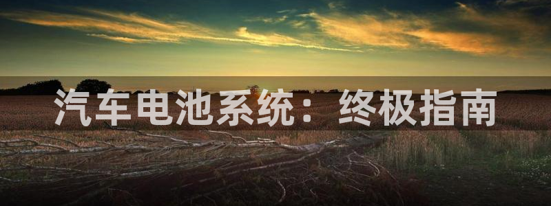 优发国际官网