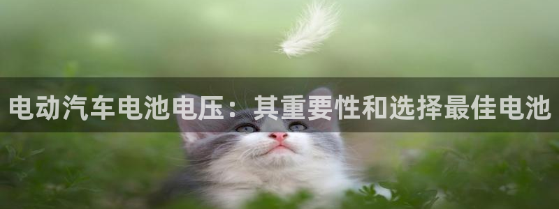 优发国际VIP网址