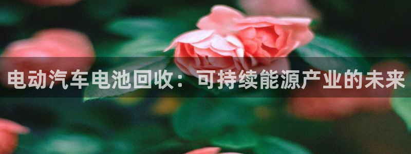优发国际网官网