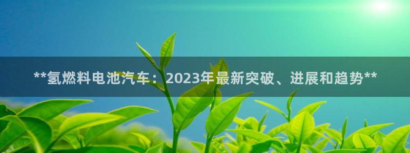 优发国际平台u8是什么公司