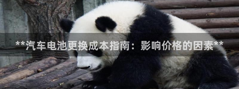 优发国际平台g8