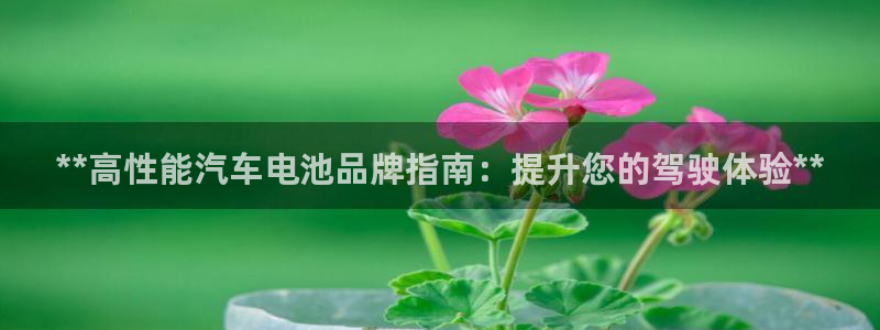 优发国际集团股份有限公司招聘