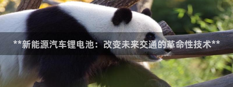 优发娱乐官网地址