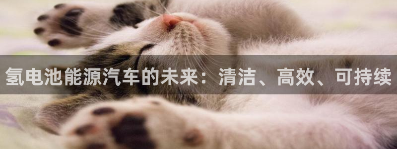 优发国际注册17