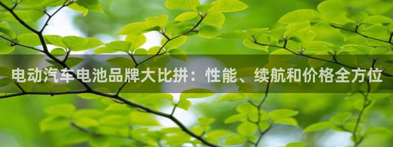 优发国际游戏官网