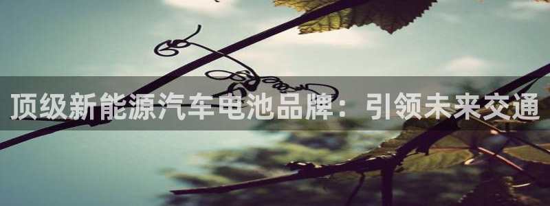 优发国际官网值是多少