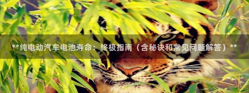 优发国际合并到哪里了最新消息