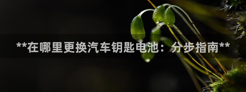 优发国际集团股份有限公司招聘