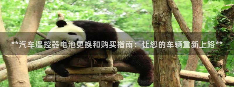 优发国际注册平台是什么