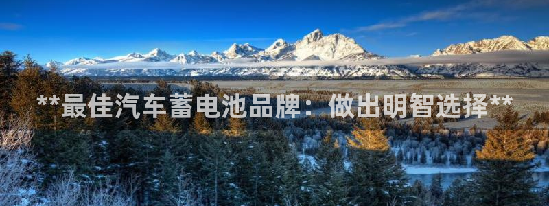 优发国际官方网平台电话